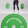 REP Fitness Color Bumper Plates – Color-Coded Low Odor Rubber Olympic Plates for Strength, Conditioning, and Weightlifting(C. 25lb Green Pair)