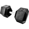 Rep Fitness Rubber Hex Dumbbell(s) – Singles (55LB +) and Pairs (5LB – 50LB) – Low Odor, Fully Knurled Handle(110 LB SINGLE DB)