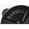 REP Fitness Iron Plates for Weightlifting Barbell Standard for Home Gym. Available in Pairs or Sets(25lb Pair)